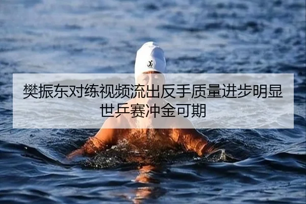 樊振东对练视频流出反手质量进步明显世乒赛冲金可期